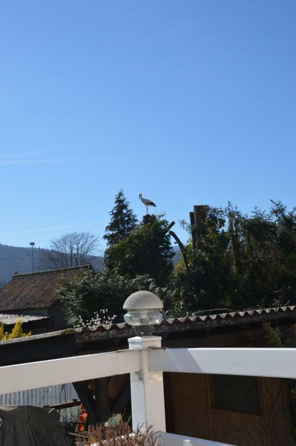 Gite Les Glycines 68230 Turckheim Zewnętrze zdjęcie